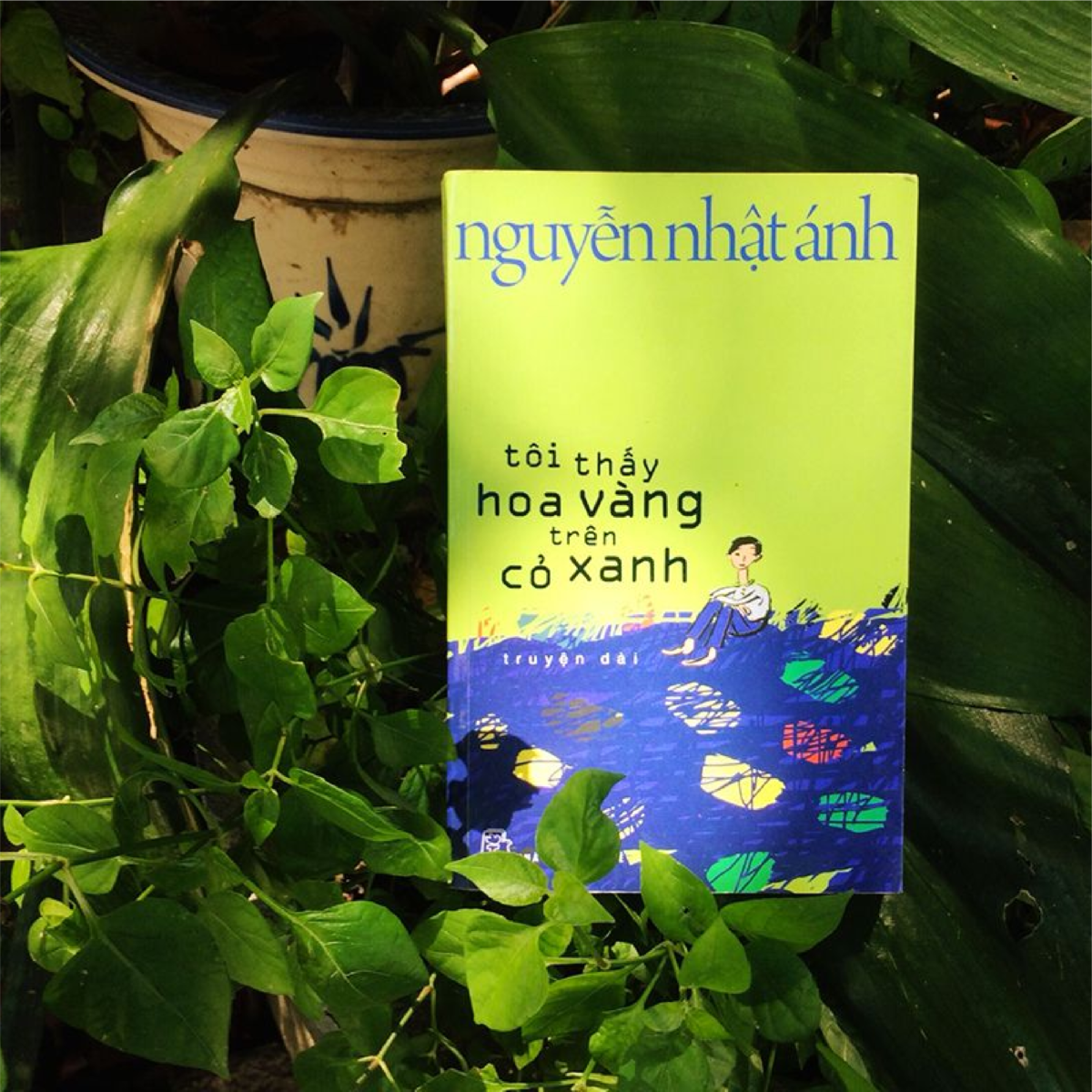 Tôi thấy hoa vàng trên cỏ xanh - Vị ngọt