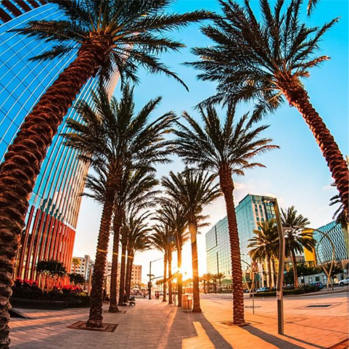 "Nếu biết trăm năm là hữu hạn, cớ sao ta không sống thật sâu..."