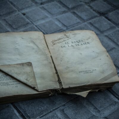 Love Books Love Life