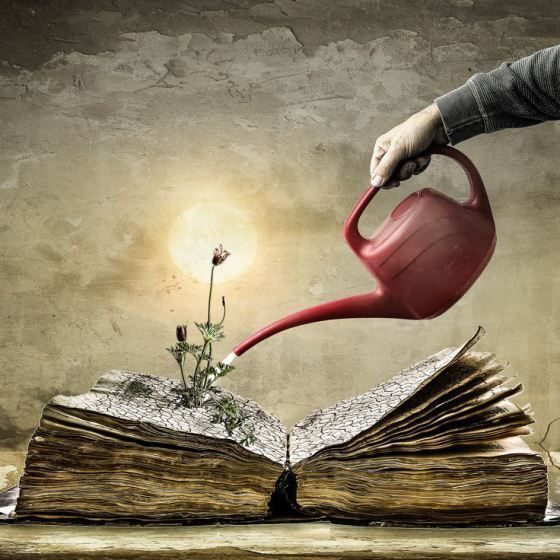 Love Books Love Life